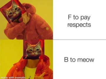 Мемы про игру Stray