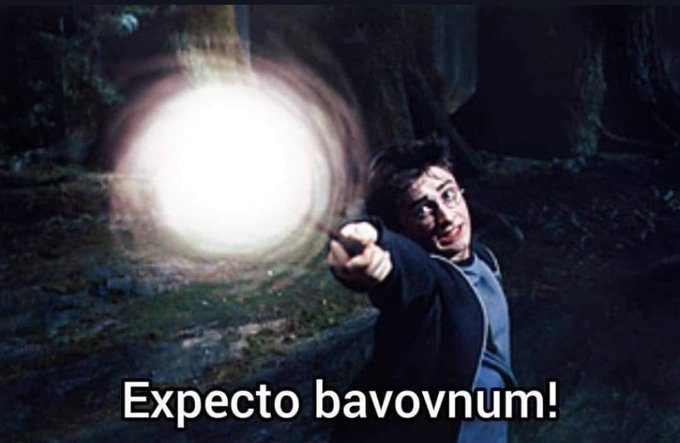 Бавовна