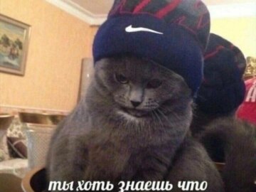 Где у женщин сочельник