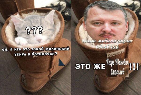 Гиркин мобилизация мемы