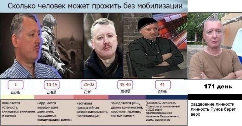 Гиркин мобилизация мемы