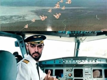 Сын Мияги
