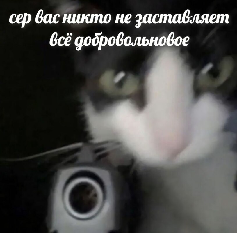мемы про повестку мемы про повестку