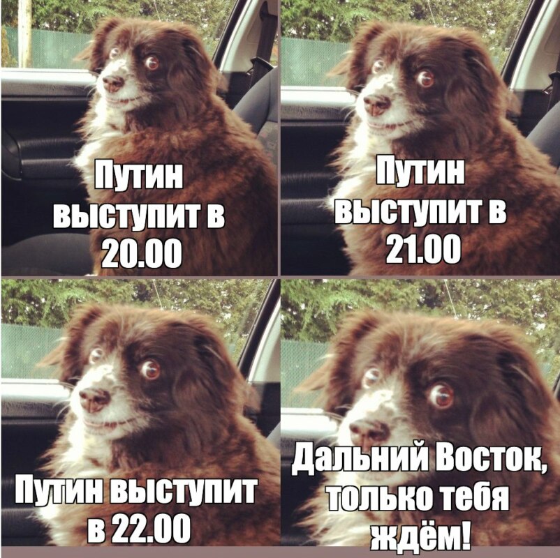 обращение путина и шойгу мемы