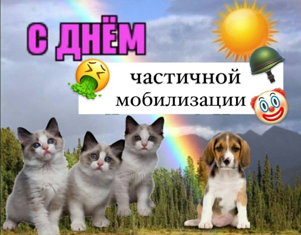 с днем мобилизации мем
