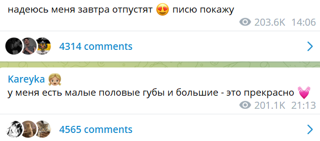 слив даша корейка слив даша корейка