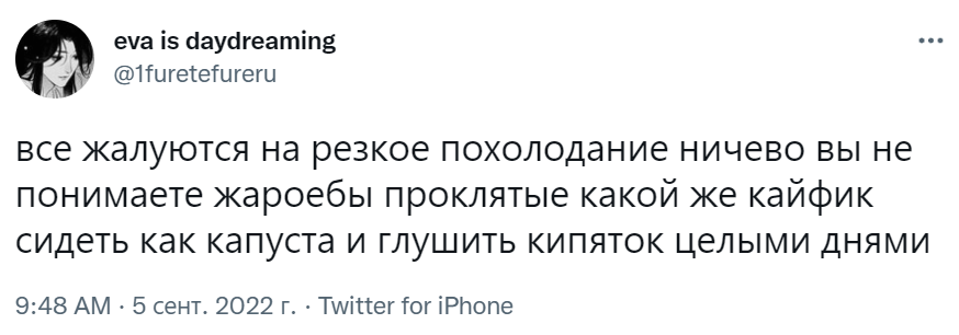 жароёбы жароёбы