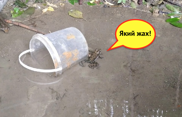 Макеевский родничок