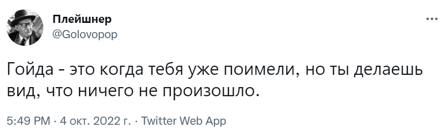 гойда мем