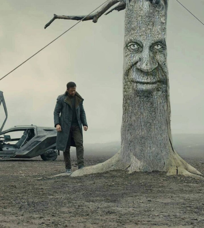 wise mystical tree мем wise mystical tree мем