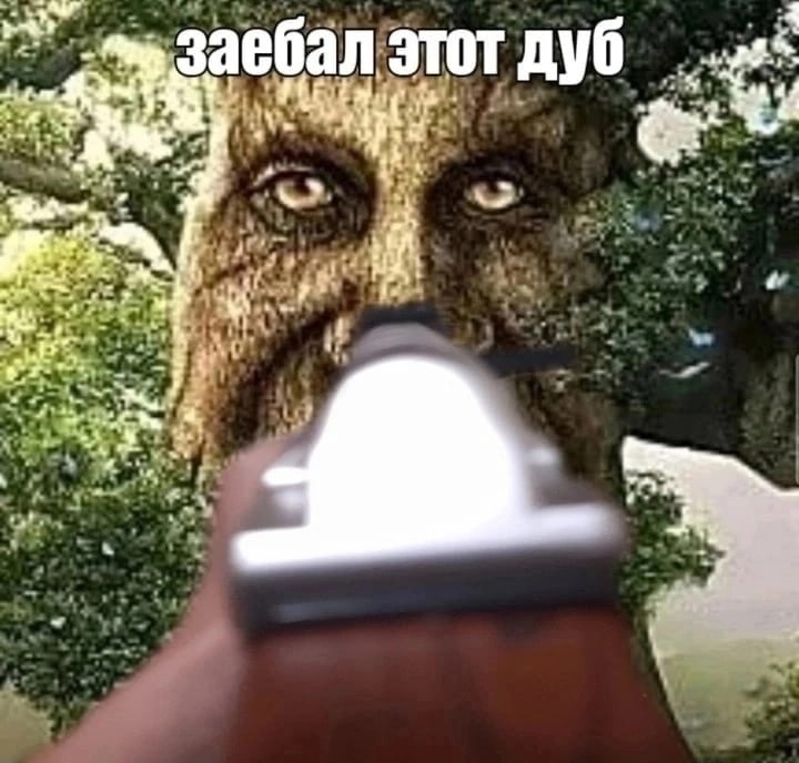 мемы про дуб мудрый дуб мемы про дуб мудрый дуб