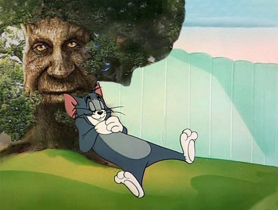 мемы с дубом мемы с дубом