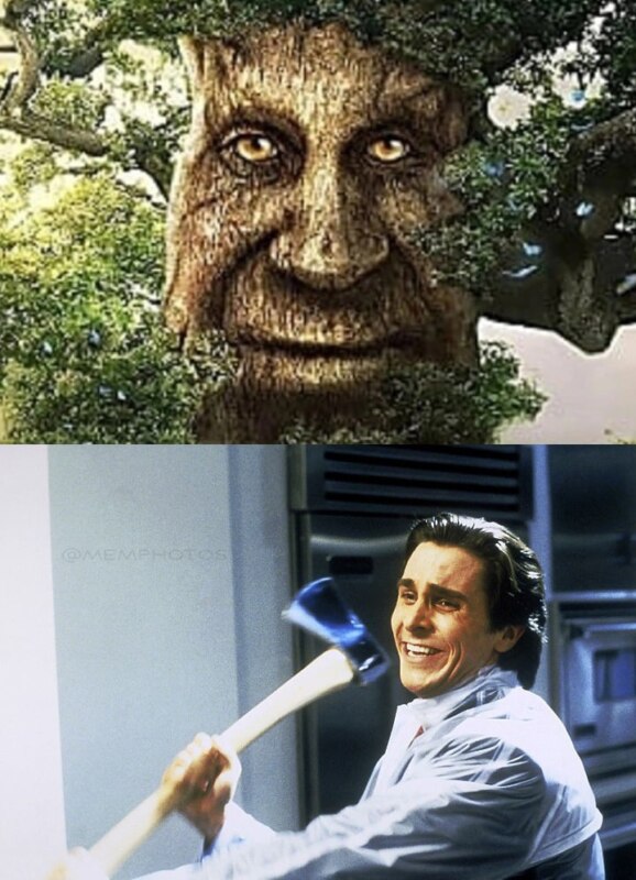 мемы с дубом мемы с дубом