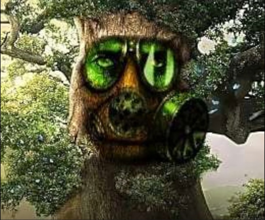 wise mystical tree мем wise mystical tree мем