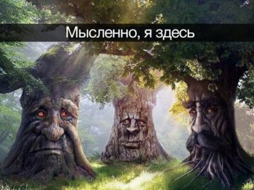 Мудрое таинственное дерево