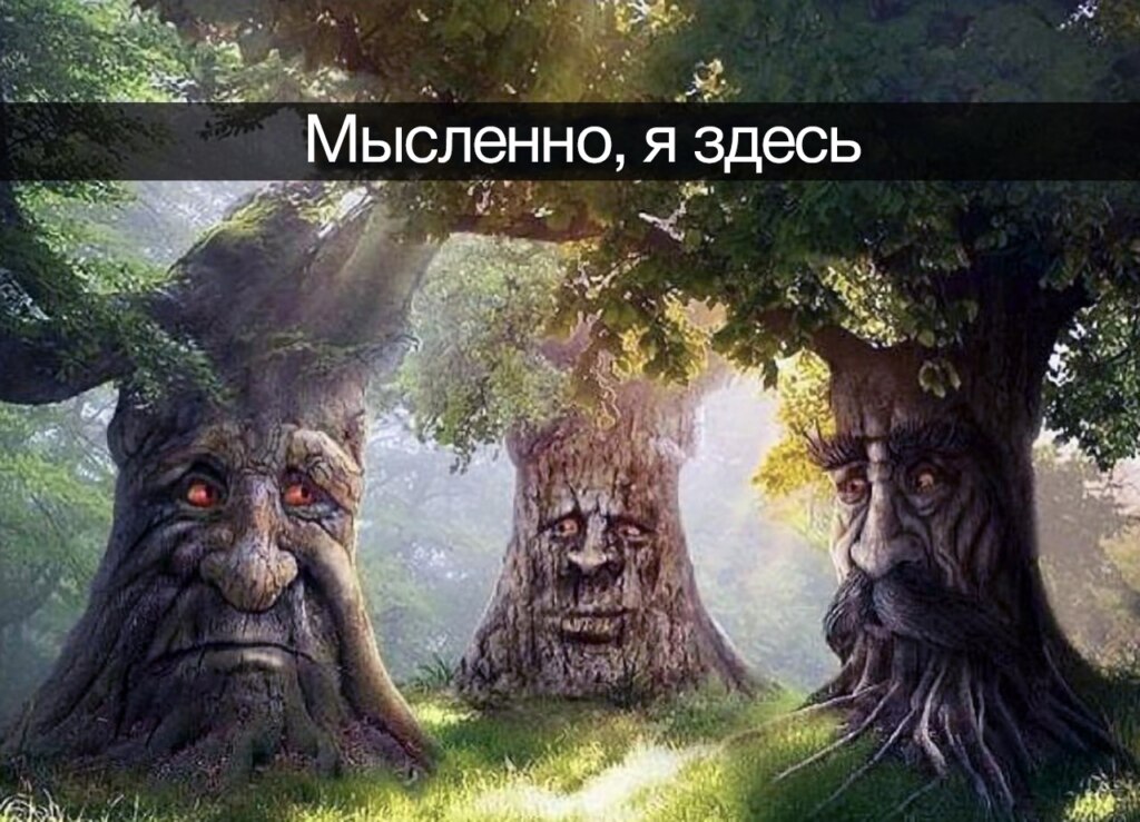 Мудрое таинственное дерево