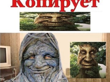 Мудрое таинственное дерево