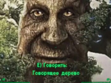 Мудрое таинственное дерево