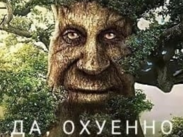 Мудрое таинственное дерево