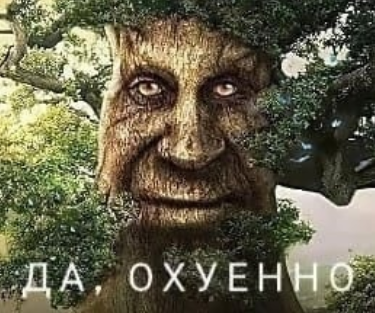 Мудрое таинственное дерево