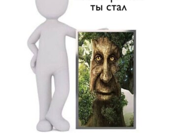 Мудрое таинственное дерево
