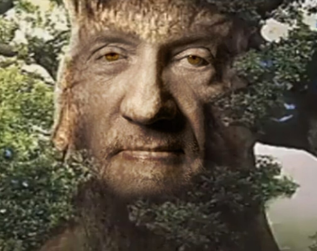 мем с дубом мем с дубом