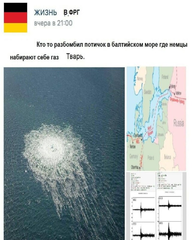 Макеевский родничок