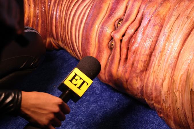 Heidi Klum's Worm Costume meme