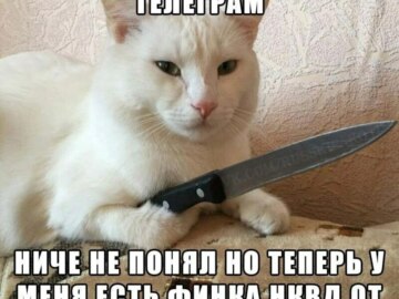 Легендарная финка НКВД