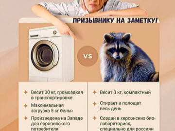 Енот из Херсона