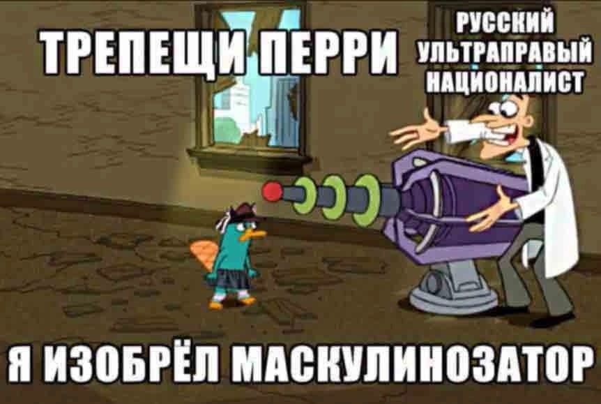 трепещи перри мем