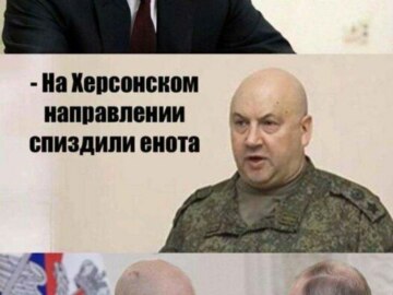 Енот из Херсона