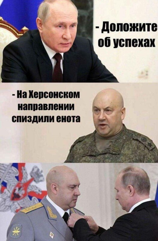 Енот из Херсона