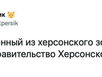 Енот из Херсона
