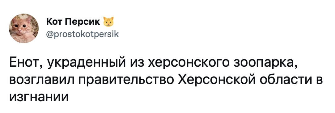 Енот из Херсона
