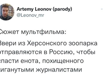 Енот из Херсона