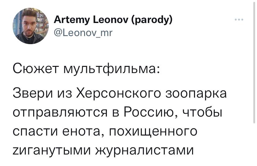 Енот из Херсона