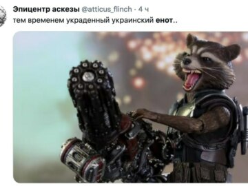 Енот из Херсона