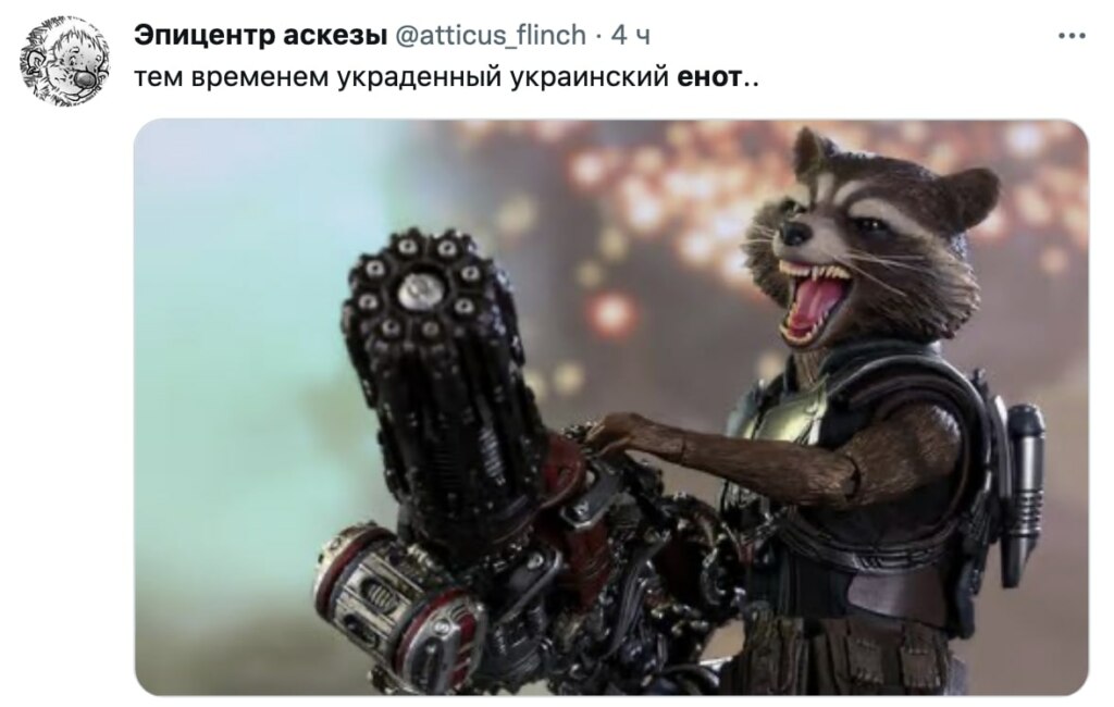 Енот из Херсона
