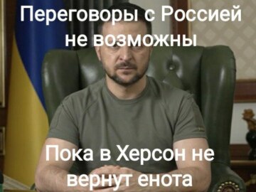 Енот из Херсона
