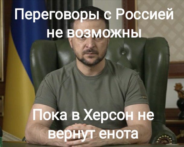 Енот из Херсона