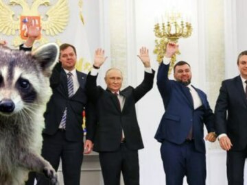 Енот из Херсона