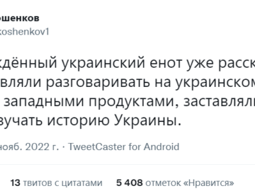 Енот из Херсона
