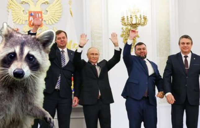Енот из Херсона