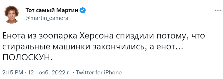 Енот из Херсона