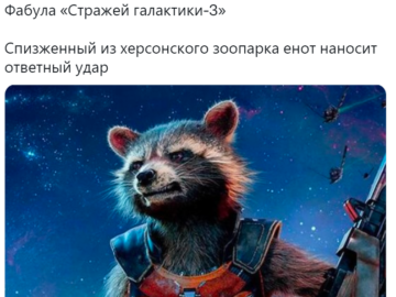 Енот из Херсона