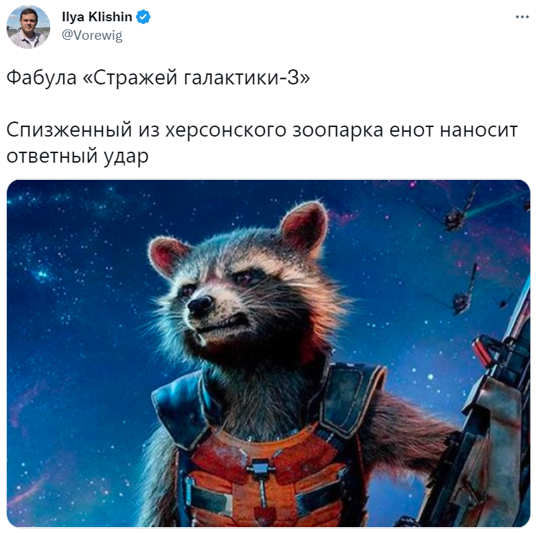 Енот из Херсона