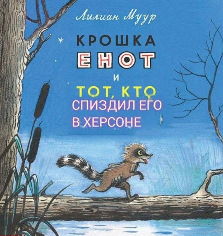 Енот из Херсона