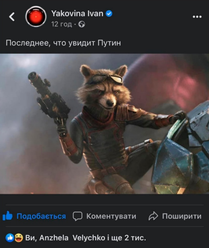 Енот из Херсона