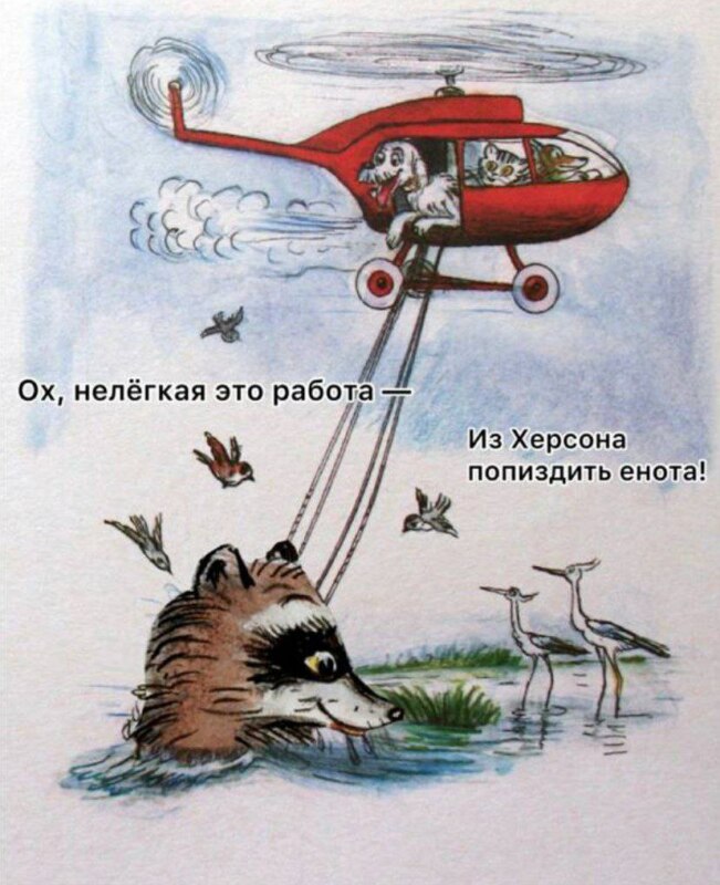 Енот из Херсона